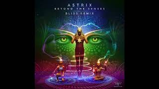 Astrix  Beyond the Senses BLiSS Remix [upl. by Elvah475]