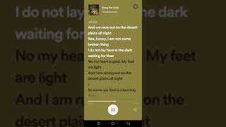 Song For Zula Lyrics  Phosphorescent [upl. by Lerrehs794]