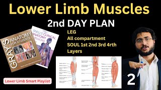 Lower Limb Muscles Anatomy Leg amp Sole Compartments  Complete HNML Lower Limb Guide  Final Part 2 [upl. by Lenoyl863]