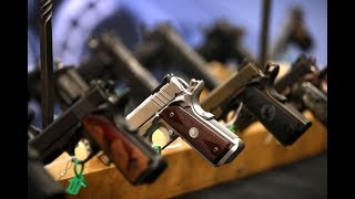 New Rules For Obtaining A Firearm Licence [upl. by Milda]