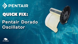 How To Replace Pentair Kreepy Krauly Dorado Oscillator [upl. by Kazmirci]