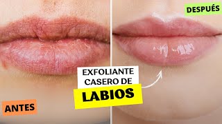 exfoliante para labios casero CON 2 INGREDIENTESFABI ZEA [upl. by Preiser]