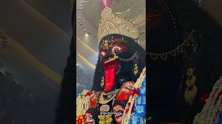 narsinghpur mahakalii shortvideo navratri2024 viraldurga love maa navratri jabalpurnavratri [upl. by Nyletak533]