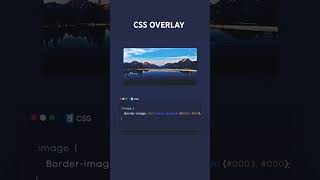 CSS overlay effect css coding webdesign learnhtml5andcss3 webdevelopment shorts shortsfeed [upl. by Vivianna]