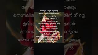 Song lyrics Malayalam 💜 munnas world trending [upl. by Loresz938]