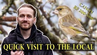 Time To Check Your Local Patch  UK Bird Photography [upl. by Enilraep914]