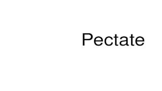 How to pronounce Pectate [upl. by Scoville]