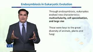 Endosymbiosis in Eukaryotic Evolution  Ecology Biodiversity amp EvolutionII  BT201Topic019 [upl. by Yung]