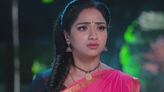 Trinayani Serial Today New Episode 12112024 Full VideoTrinayani Serial Today New Episode [upl. by Beitnes445]