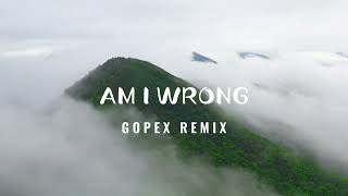 AM I WRONG  REMIX 2024 [upl. by Ammamaria]