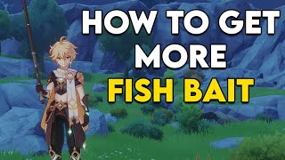 How to get more fish bait in Genshin Impact [upl. by Hsivat]