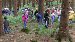 Schatzsuche im Harzer Edelsteinwald [upl. by Kinata153]