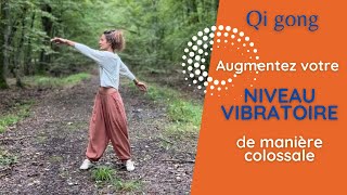 Qi gong débutant  augmentez votre niveau vibratoire de manière colossale [upl. by Earesed]