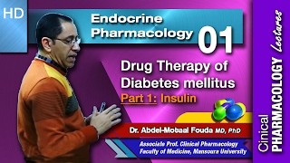 Endocrine Pharmacology Ar  01  Diabetes mellitus  Part 1 Insulin [upl. by Ymerej]