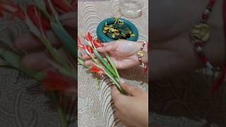 Canna LillyBajaynti Flower Pot making [upl. by Gnot197]