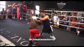 Midget vs Dwarf Boxing  Mini DaBaby Tyson vs Human Tetris Long Limb Thomas [upl. by Lewie457]