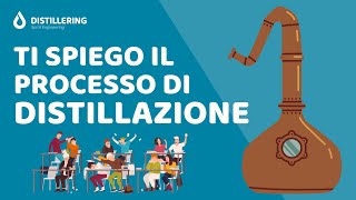 Che cosè la Distillazione Come funziona Scopri il processo di Distillazione degli alcolici [upl. by Granville]