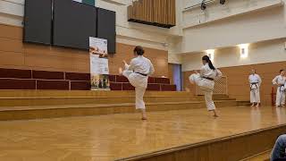 Shotokan Karate bemutató [upl. by Allveta]