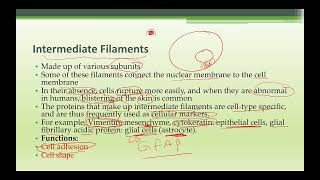 PHYSIOLOGY LECTURE 2024 PART 2 complete [upl. by Hairabez297]