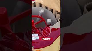 Firework fireworks christmas pyrotechnics funny 4thofjuly shorts trending viralvideo [upl. by Assir]