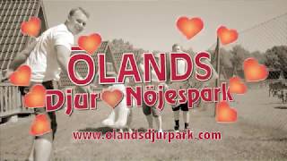 reklamfilm för Ölandsdjurpark [upl. by Lucila]