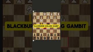 Meet the Blackburne Shilling Gambit gambit chess trap [upl. by Adnilim]