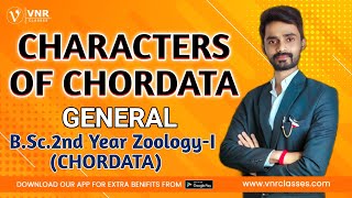 5 General Characters of Phylum Chordata  BSc2nd Year Zoology PaperI Chordata Full detail [upl. by Navannod642]