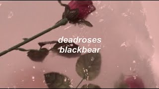 deadroses  blackbear lyrics [upl. by Anilrahc]