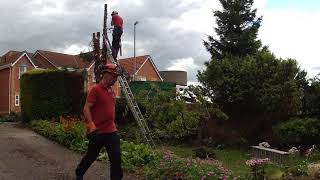 D amp G TREE SURGEONS CASTLEFORD  TIME LAPSE VIDEO [upl. by Eiramannod]