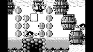 Super Mario Land 3 Wario Land TAS by Greenalink 292477 [upl. by Clance702]