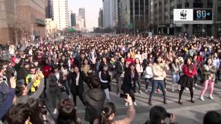 Earth Hour 2013 Flash Mob Korea [upl. by Mathre]