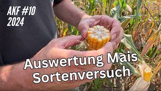 AKF 10 Auswertung Mais Sortenversuch [upl. by Ataynek]