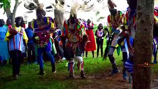 YOU WONT BELIEVE YOUR EYES SPECTACULAR AFRICAN TRADITIONAL DANCE MOVES THAT WILL LEAVE YOU AMAZED [upl. by Mixie]