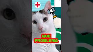 H😷SPITAL ES LO PE😭R gatos humor chistes cat gatoschistosos gatoscontandochistes gatosfofos [upl. by Ploss393]