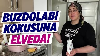 BU BİLGİ BAŞKA YERDE YOK Buzdolabı Temizliğinde Kesin Çözümü Anlattım  Temizlik Kraliçesi [upl. by Dyanna947]