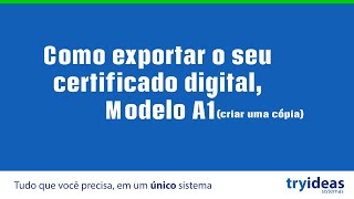 Como exportar o seu certificado digital modelo A1 criar uma cópia [upl. by Atiuqan]