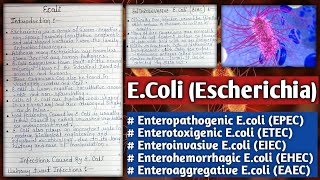 E coli  Escherichia coli  Infection caused by E Coli  Infective strans of E coli [upl. by Mathian]