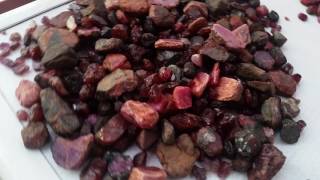 Ruby Corundum 100 Natural [upl. by Audwin]