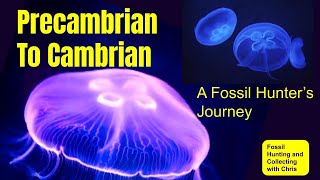 Precambrian to Cambrian A Fossil Hunters Journey Fossil Hunting and Fossil Collecting with Chris [upl. by Yellac]