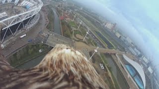 Awesome Action Cam footage shows eagle flying over city of London [upl. by Mossberg]