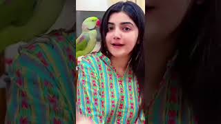 Aleeya Aleey snack video Pakistan unfrezzmyaccount aleeya alia actress [upl. by Yenruogis]