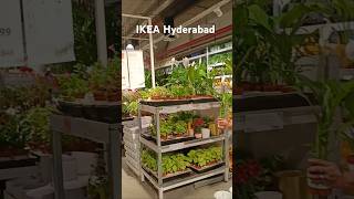 IKEA Hyderabad Shopping part2🛍️ shortsvideo [upl. by Kirsti]