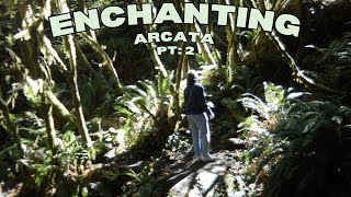 Flog 7 Enchanting Arcata Pt2 [upl. by Asela]