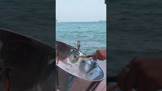 Tarrus Riley  Shes Royal Steelpan Cover [upl. by Burtie]