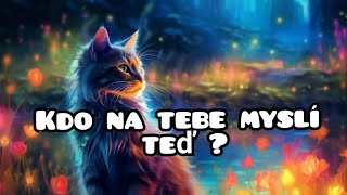 👤kdo na tebe myslí  👤výkladkaret [upl. by Quinta]