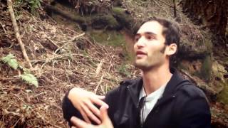 Return to Awe Jason Silva  Melodysheep [upl. by Nnaeed764]