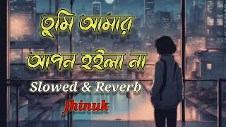 তুমি আমার আপন হইলা না।। Tumi Amar Apon Hoila Na।। Slowed amp Reverb।। Sad Song। Lofi Song। ‎MrBeast [upl. by Ecidna]