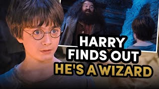 Harry Finds Out Hes a Wizard  Philosophers Stone [upl. by Houghton706]