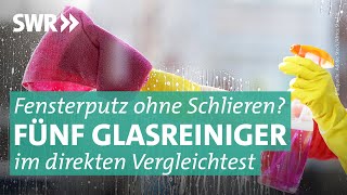 Glasreiniger von dm Frosch oder Sidolin – welcher ist der beste  Marktcheck SWR [upl. by Einaj153]