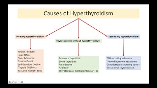 Causes of Hyperthyroidism [upl. by Anoved]